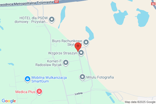 Sznajdrowski Waldemar. Uslugi menedzerskie