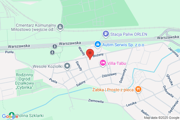 Bielenda Rafal. Mechanika pojazdowa
