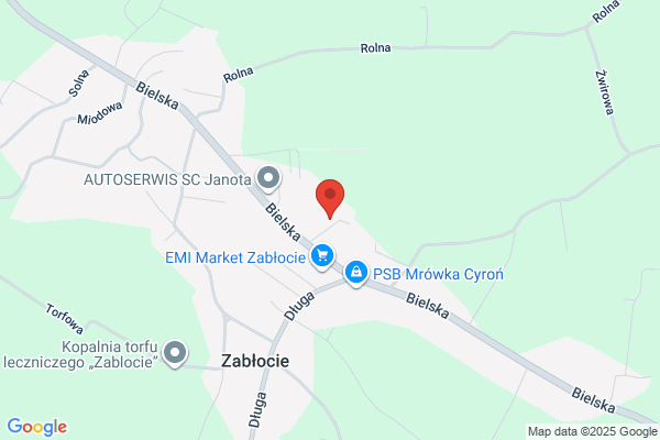 Gama. Gabzdyl M.