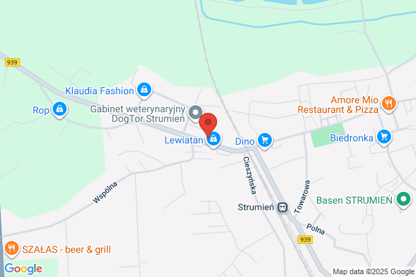 Pajor Leszek. Firma handlowo - uslugowa