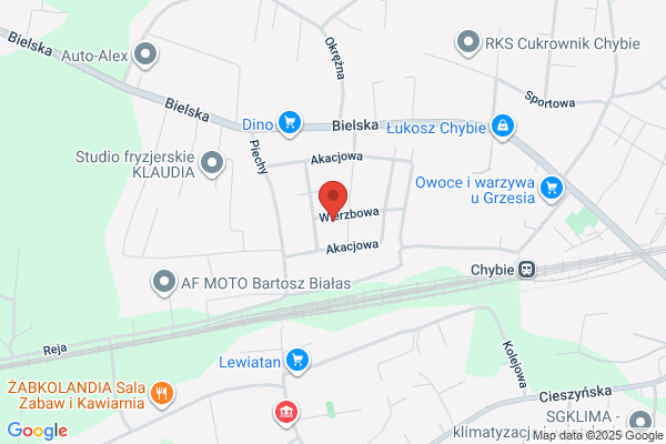 Tele-Video-Serwis. Rakoczy M.