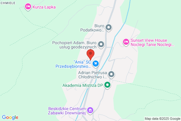 Bury Kazimierz. Wideorejestracja