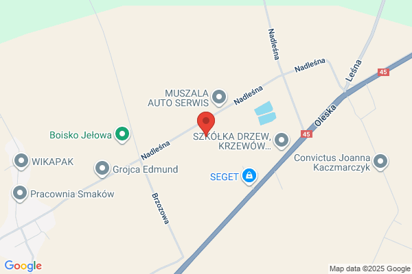 Metal-Drew. Produkcja wyrobów z metalu. Krzesinski J.