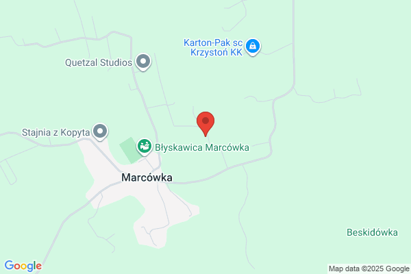 Barganska Krystyna. Haft reczny sztandarowy. Ornaty, obrazy
