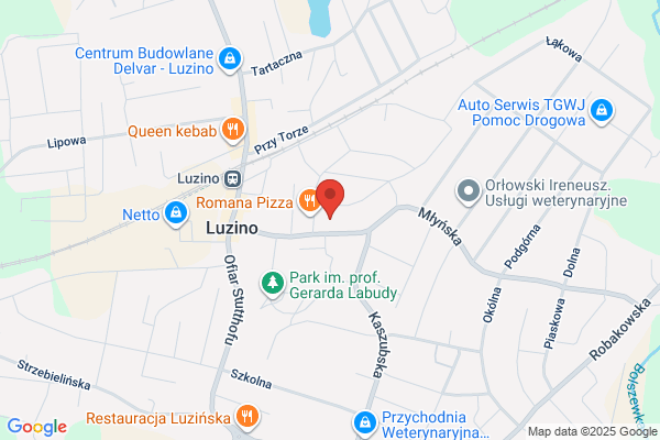 Niepubliczny Zaklad Opieki Zdrowotnej Osrodek Zdrowia w Luzinie