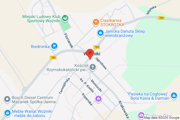 Bank Spóldzielczy w Myszkowie. Oddzial w Woznikach. Punkt kasowy