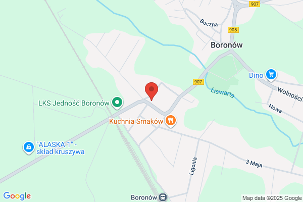 Erlebach Piotr. PHU. Transport krajowy i miedzynarodowy