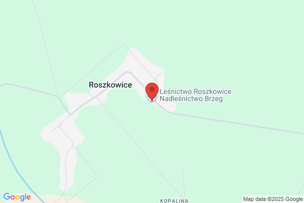 Lesnictwo Rogalice. Nadlesnictwo Brzeg