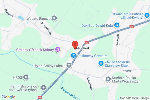 Pawlicki Krzysztof. Uslugi transportowe