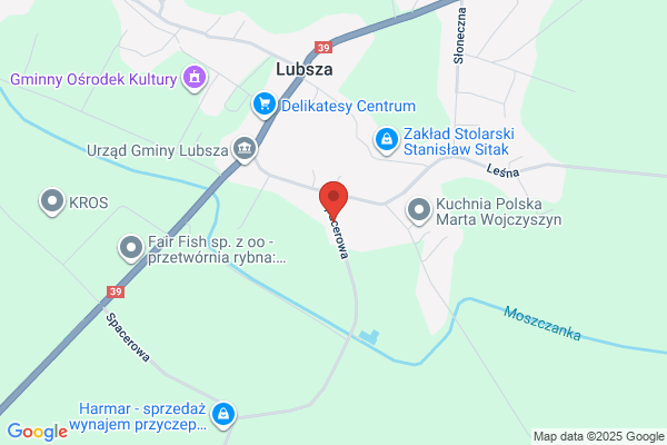 Salitrynski Andrzej. Uslugi transportowe