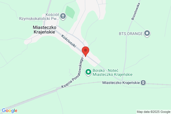 ABC. Sp. z o.o. Sklep spozywczy. Kaczmarczyk