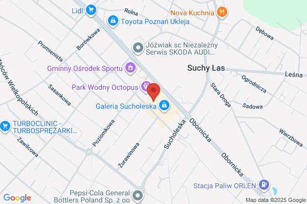 Firliki. Centrum kultury i nauki jez. obcych. Firlik M.