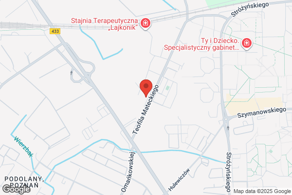 Business Service. Sp. z o.o. Doradztwo gospodarcze, szkolenia