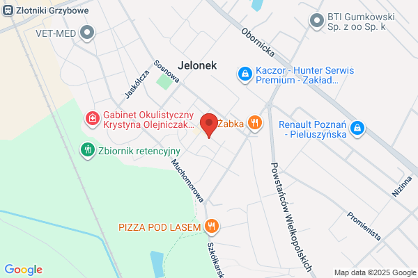 Slonecznik. Kwiaciarnia