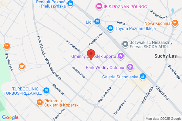 Elbos SC. Michalski J.P.