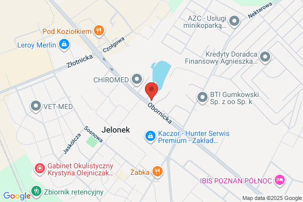 Witex. Handel samochodami dostawczymi. Blacharstwo, lakiernictwo