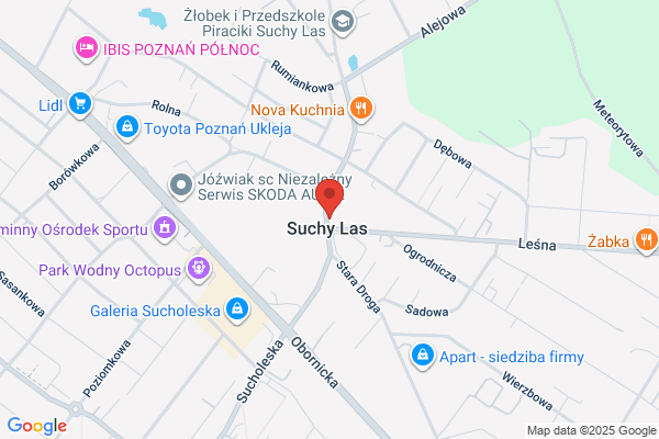 Auto-Rege. Naprawa silników spalinowych