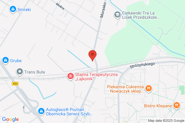 Stapigo. Przedsiebiorstwo motoryzacyjne