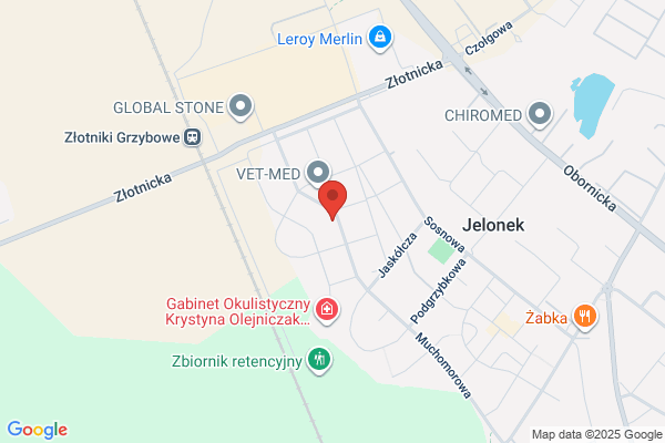 Jarmolowicz Jolanta. Tlumacz przysiegly jez. wegierskiego