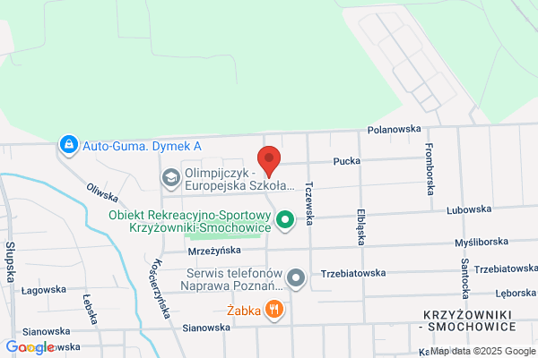 Iwtrans. Transport miedzynarodowy. Zielinska I.