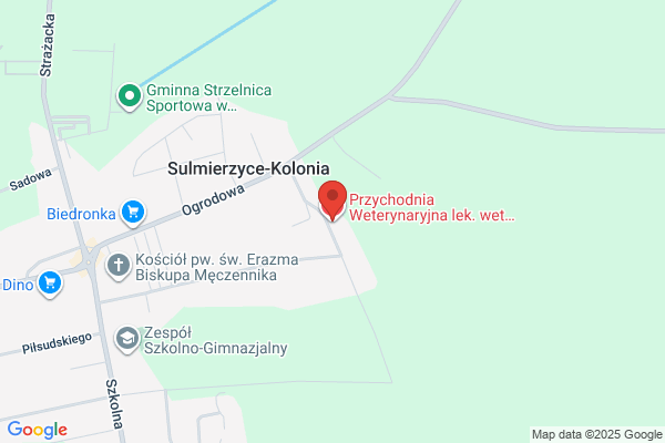 Gwozdzik Kazimierz J. Lecznica dla zwierzat