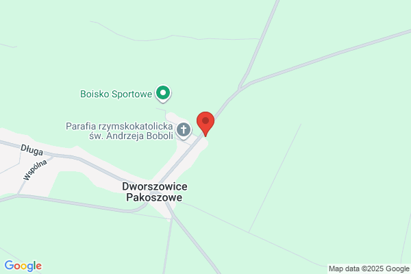 Stanik Irena. Drzewa, krzewy, rosliny ozdobne