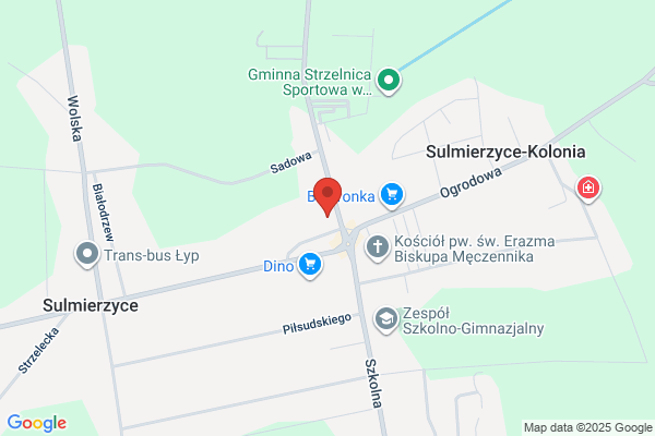 Storczyk. Kwiaciarnia. Szymczak R.