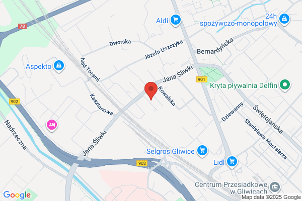 Ficek Anna. Lesnictwo