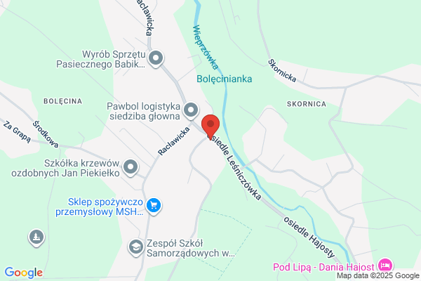 Lesnictwo Rzyki