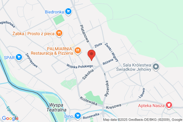 Bis. Pily spalinowe, kosiarki. Pietruczuk B.