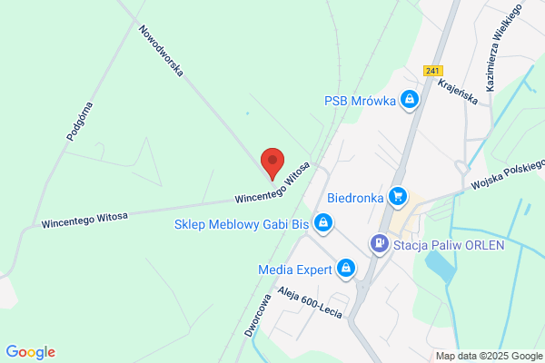 Wiktoria. Transport miedzynarodowy i krajowy