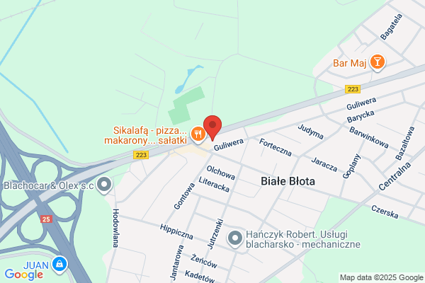 Omega. Sprzedaz i montaz drzwi. Kazmierczak J.