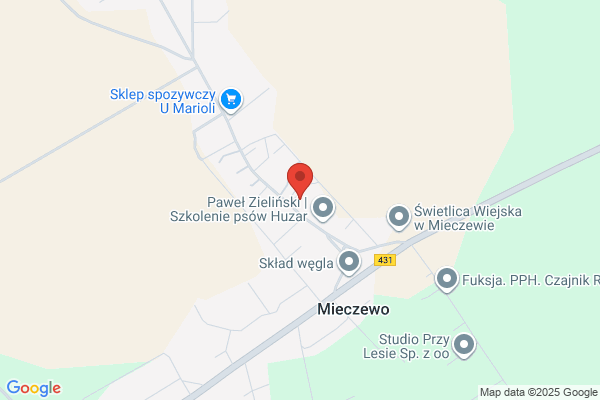 Piechowiak Andrzej. Uslugi transportowe samochodami samowyladowczymi