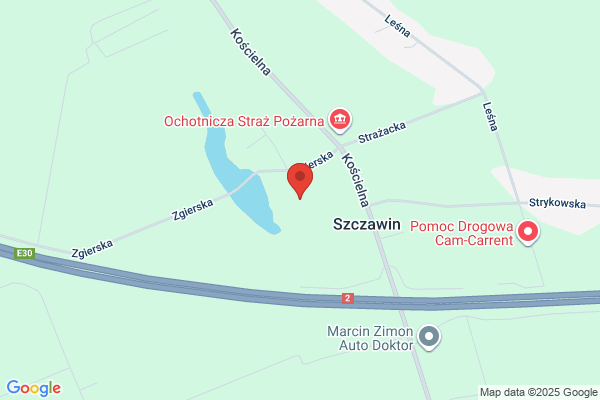 Borkowska Elzbieta. Krzewy, drzewka