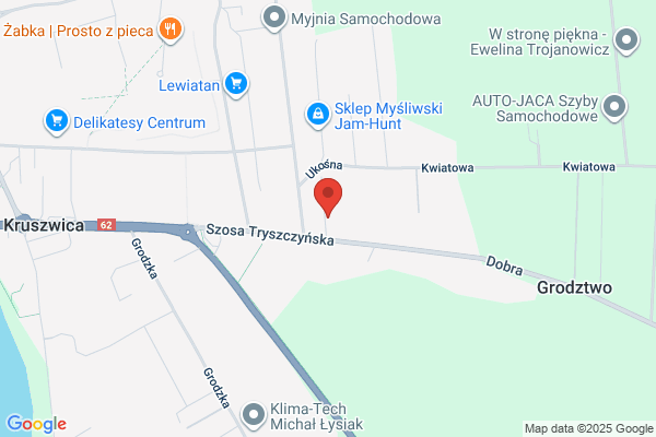 Wis-Trans SC. Spedycja, transport krajowy i miedzynarodowy. Wisniewski Z., Wisniewska B.
