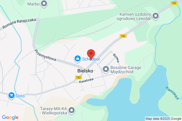 Tompalska Lidia. Transport ciezarowy miedzynarodowy i krajowy