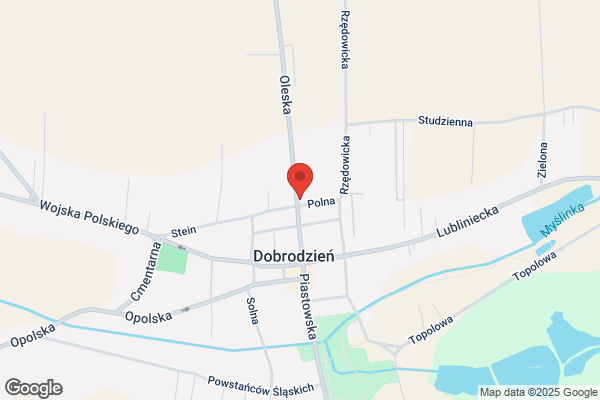 Bank Spóldzielczy w Lesnicy. Oddzial