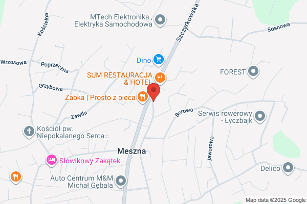 Geoida. Pracownia geodezyjna. Wrona M., mgr. inz.