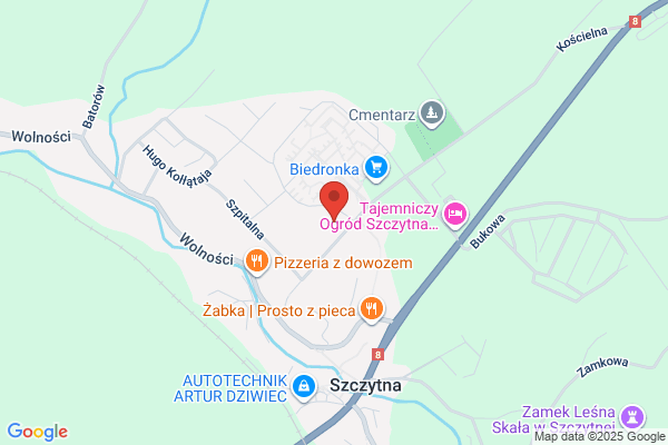 Driver. Prywatna Szkola Jazdy. Wydrych M.