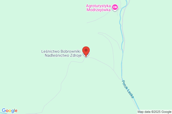 Lesnictwo Bobrowniki