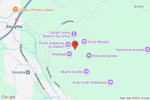 Zgromadzenie zakonne Ksiezy Misjonarzy Swietej Rodziny