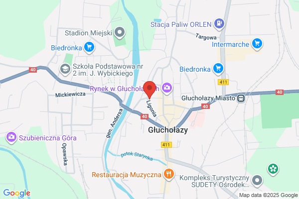 Gawlik H. Przewozy autokarowe