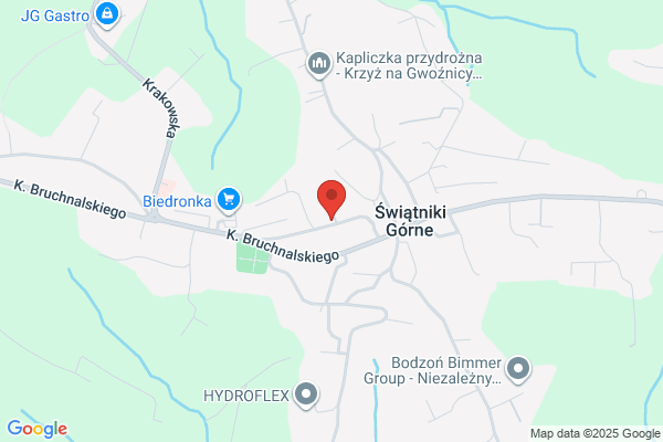 1001 Drobiazgów. Sanecka T.