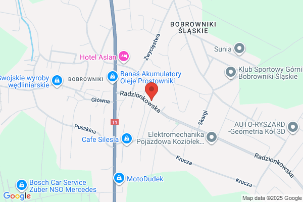 Pietryga Brunon. Ekologiczne systemy grzewcze