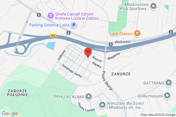 Slaskie Pierony. Zespól muzyczny