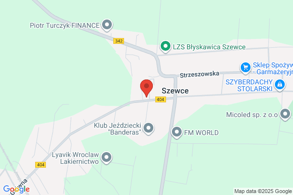 Gnela Stanislaw. Taksówka osobowa