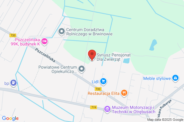 Syriusz. Pensjonat