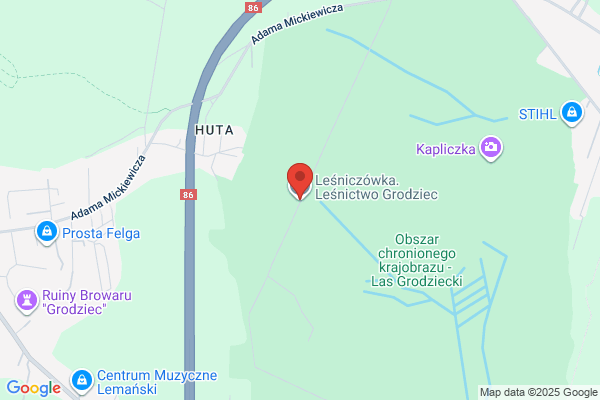 Lesnictwo Grodziec