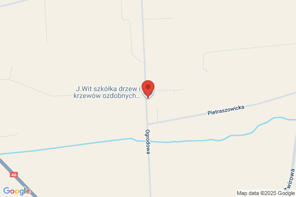 Zajda Wlodzimierz. Szkólka krzewów ozdobnych