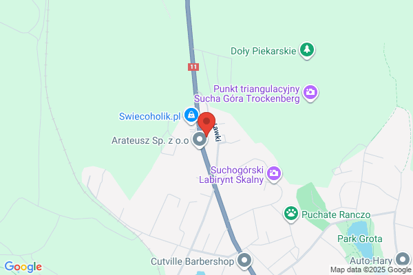 Budomontaz-Poludnie SC